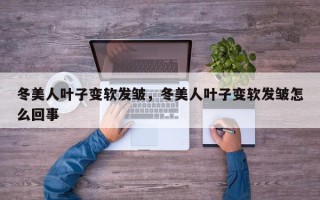 冬美人叶子变软发皱，冬美人叶子变软发皱怎么回事