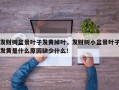 发财树盆景叶子发黄掉叶，发财树小盆景叶子发黄是什么原因缺少什么！