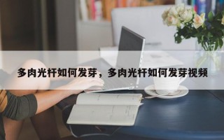 多肉光杆如何发芽，多肉光杆如何发芽视频