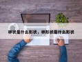 卵状是什么形状，卵形状是什么形状
