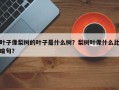 叶子像梨树的叶子是什么树？梨树叶像什么比喻句？