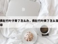 佛肚竹叶子黄了怎么办，佛肚竹叶黄了怎么变绿