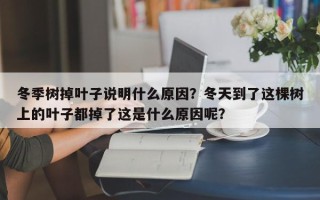 冬季树掉叶子说明什么原因？冬天到了这棵树上的叶子都掉了这是什么原因呢？
