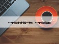 叶子花多少钱一株？叶子花费用？
