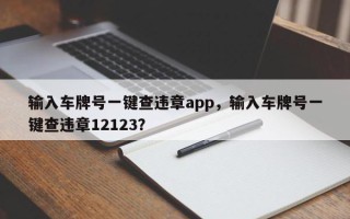 输入车牌号一键查违章app，输入车牌号一键查违章12123？