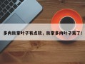 多肉熊掌叶子有点软，熊掌多肉叶子蔫了！