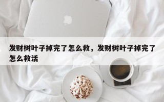 发财树叶子掉完了怎么救，发财树叶子掉完了怎么救活