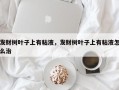 发财树叶子上有粘液，发财树叶子上有粘液怎么治