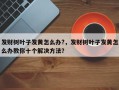 发财树叶子发黄怎么办?，发财树叶子发黄怎么办教你十个解决方法？