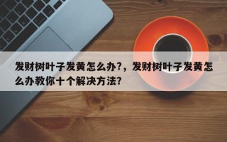 发财树叶子发黄怎么办?，发财树叶子发黄怎么办教你十个解决方法？