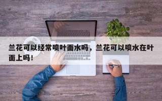 兰花可以经常喷叶面水吗，兰花可以喷水在叶面上吗！