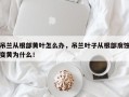 吊兰从根部黄叶怎么办，吊兰叶子从根部腐蚀变黄为什么！