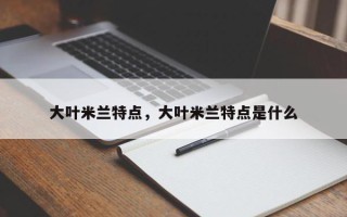 大叶米兰特点，大叶米兰特点是什么