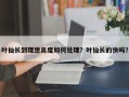 叶仙长到理想高度如何处理？叶仙长的快吗？