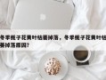 冬季栀子花黄叶枯萎掉落，冬季栀子花黄叶枯萎掉落原因？