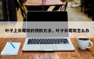 叶子上长霉斑的预防方法，叶子长霉斑怎么办