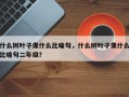 什么树叶子像什么比喻句，什么树叶子像什么比喻句二年级？