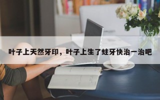 叶子上天然牙印，叶子上生了蛀牙快治一治吧