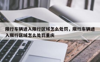 限行车辆进入限行区域怎么处罚，限行车辆进入限行区域怎么处罚重庆