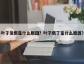 叶子发焦是什么原因？叶子焦了是什么原因？