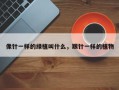 像针一样的绿植叫什么，跟针一样的植物