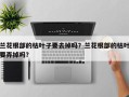 兰花根部的枯叶子要去掉吗？兰花根部的枯叶要弄掉吗？
