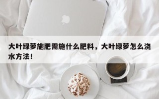 大叶绿萝施肥需施什么肥料，大叶绿萝怎么浇水方法！