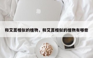 和艾蒿相似的植物，和艾蒿相似的植物有哪些