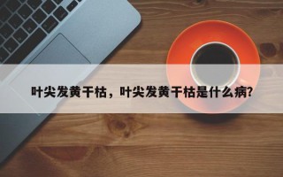 叶尖发黄干枯，叶尖发黄干枯是什么病？