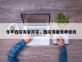 冬季西府海棠开花，西府海棠冬季修剪