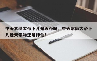 中天紫薇大帝下凡是天帝吗，中天紫薇大帝下凡是天帝吗还是神仙？