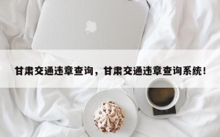 甘肃交通违章查询，甘肃交通违章查询系统！