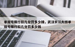 单双号限行扣几分罚多少钱，武汉长江大桥单双号限行扣几分罚多少钱