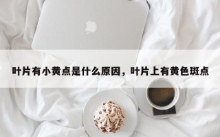 叶片有小黄点是什么原因，叶片上有黄色斑点