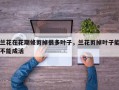 兰花在花期修剪掉很多叶子，兰花剪掉叶子能不能成活