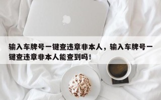 输入车牌号一键查违章非本人，输入车牌号一键查违章非本人能查到吗！