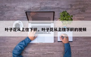 叶子花从上往下织，叶子花从上往下织的视频