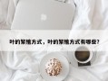 叶的繁殖方式，叶的繁殖方式有哪些？