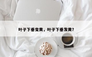 叶子下垂变黄，叶子下垂发黄？