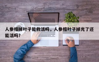 人参榕掉叶子能救活吗，人参榕叶子掉光了还能活吗？