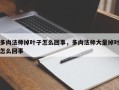 多肉法师掉叶子怎么回事，多肉法师大量掉叶怎么回事