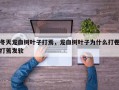 冬天龙血树叶子打焉，龙血树叶子为什么打卷打蔫发软