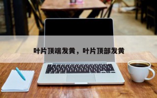 叶片顶端发黄，叶片顶部发黄