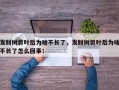 发财树剪叶后为啥不长了，发财树剪叶后为啥不长了怎么回事！