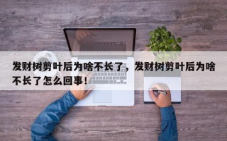 发财树剪叶后为啥不长了，发财树剪叶后为啥不长了怎么回事！
