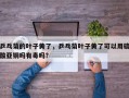 乒乓菊的叶子黄了，乒乓菊叶子黄了可以用硫酸亚铜吗有毒吗？