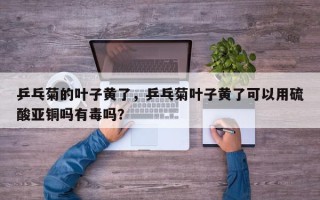 乒乓菊的叶子黄了，乒乓菊叶子黄了可以用硫酸亚铜吗有毒吗？