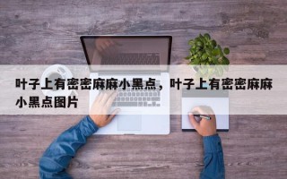 叶子上有密密麻麻小黑点，叶子上有密密麻麻小黑点图片
