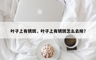 叶子上有锈斑，叶子上有锈斑怎么去除？