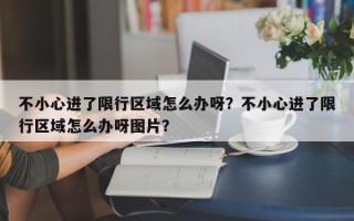 不小心进了限行区域怎么办呀？不小心进了限行区域怎么办呀图片？
